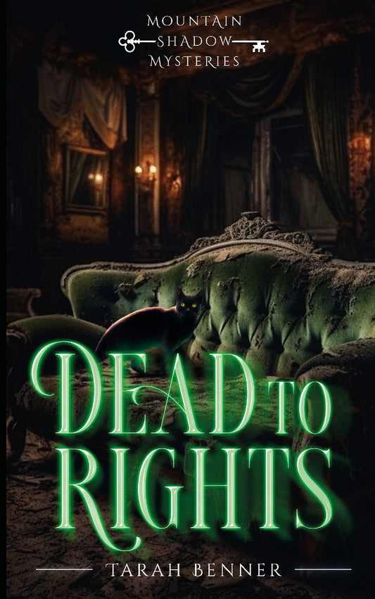 Dead to Rights: Mountain Shadow Mysteries Book 2 (Paperback Edition)